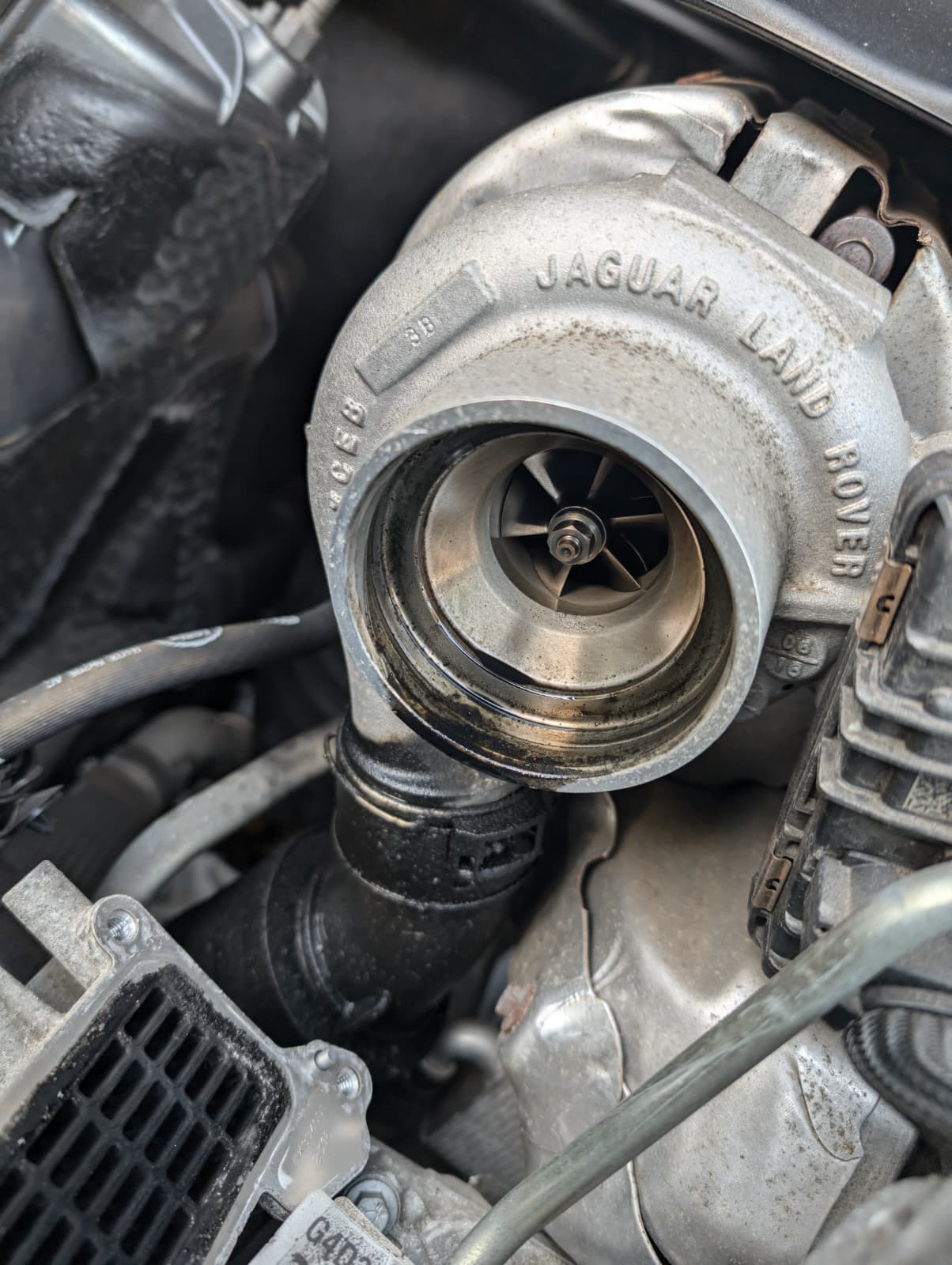 PHOTO-2025-11-04-15-40-10